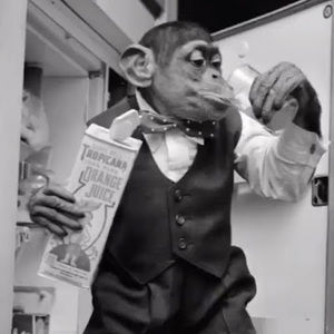 Meet your Posher, Aidan